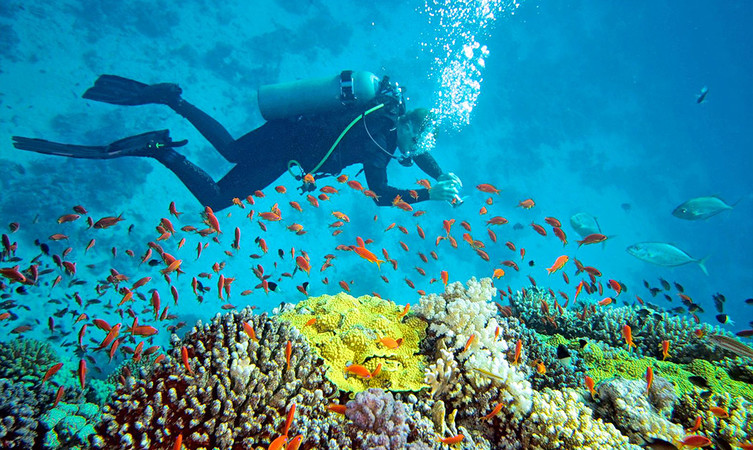 north-bay-island-port-blair-img